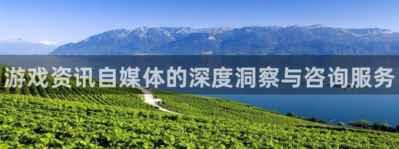 极悦娱乐直属：游戏资讯自媒体的深度洞察与咨询服务