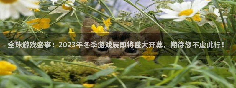 极悦娱乐的意思：全球游戏盛事：2023年冬季游戏展即将盛大开