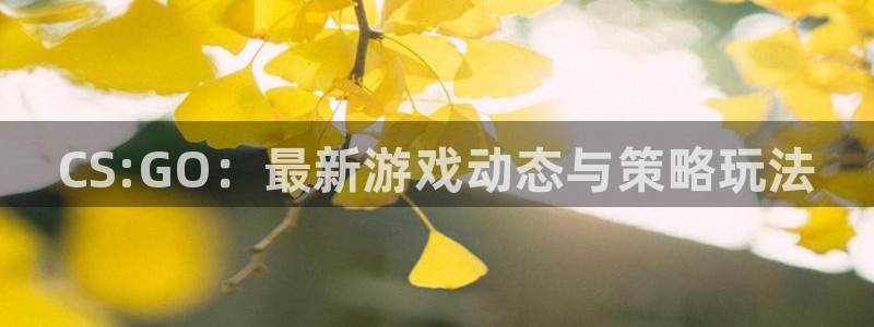 极悦娱乐官网登录：CS:GO：最新游戏动态与策略玩法