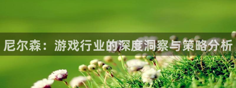 极悦娱乐开户测速：尼尔森：游戏行业的深度洞察与策略分析