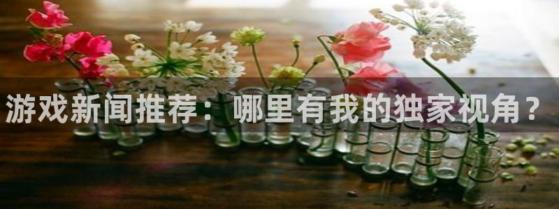 极悦娱乐网址官网：游戏新闻推荐：哪里有我的独家视角？