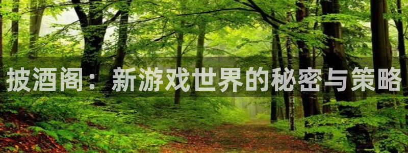 极悦娱乐注册平台：披酒阁：新游戏世界的秘密与策略