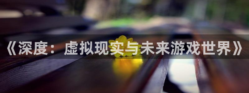 极悦娱乐注册账号：《深度：虚拟现实与未来游戏世界》