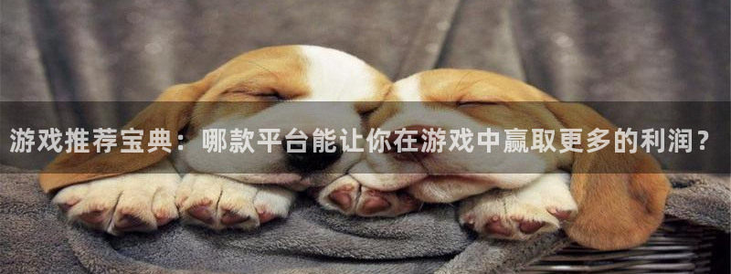 极悦娱乐是什么：游戏推荐宝典：哪款平台能让你在游戏中赢取更多