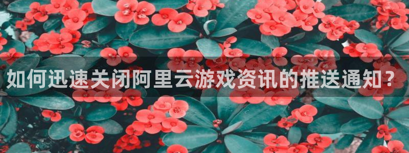 极悦娱乐网址官网：如何迅速关闭阿里云游戏资讯的推送通知？