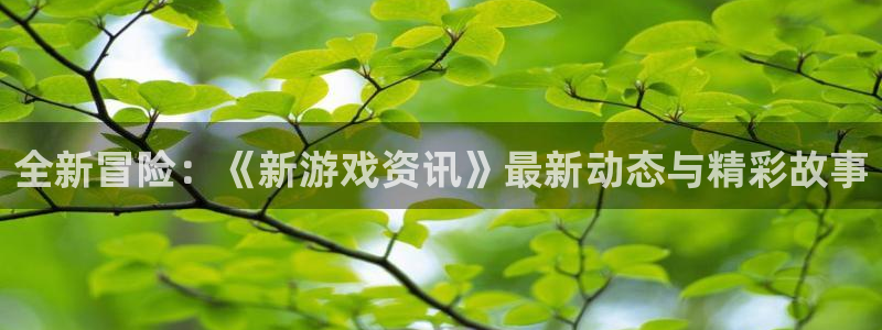 极悦娱乐注册登录平台：全新冒险：《新游戏资讯》最新动态与精彩