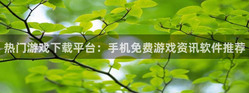 极悦娱乐注册地址：热门游戏下载平台：手机免费游戏资讯软件推荐