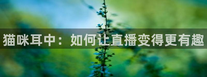 体育直播吧在线观看：猫咪耳中：如何让直播变得更有趣